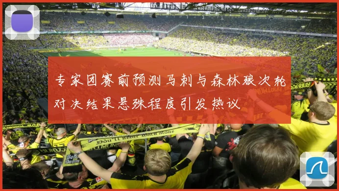 专家团赛前预测马刺与森林狼次轮对决结果悬殊程度引发热议