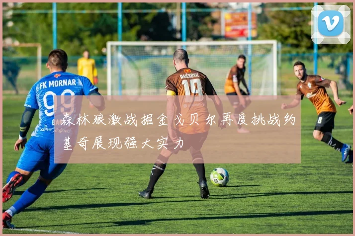 森林狼激战掘金戈贝尔再度挑战约基奇展现强大实力