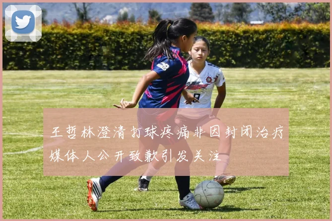王哲林澄清打球疼痛非因封闭治疗媒体人公开致歉引发关注